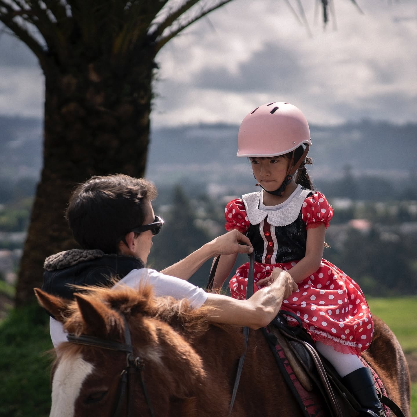 Servicios educativos con caballos para escuelas y guarderías en Cuenca Ecuador