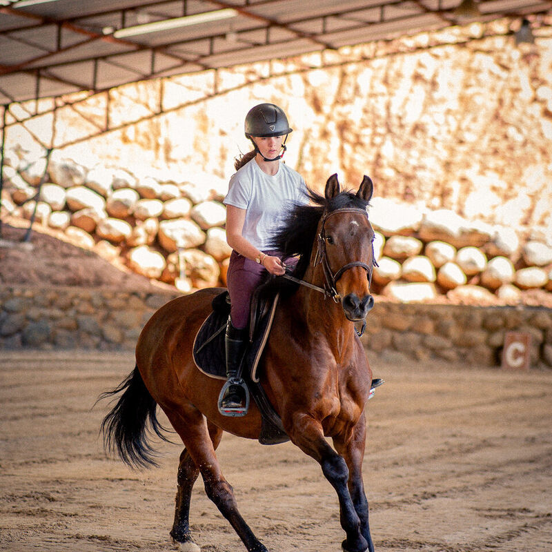 Caballo de la escuela Caballo Campana