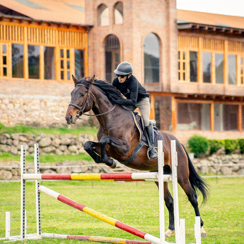 Caballo saltando en la cancha de Caballo Campana