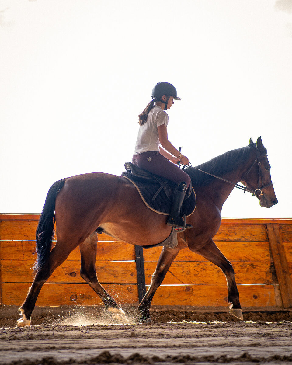 Clase de equitación en Caballo Campana